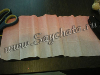тюльпаны