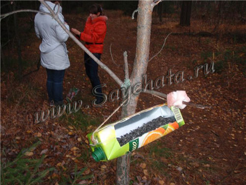 Кормушка своими руками