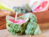 Поделки из ракушек