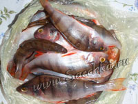 Кто придумал "рыбный день"?