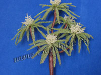 Пальма из бисера