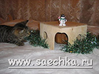 Домик из фанеры для грызунов