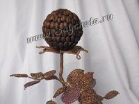 Кофейное дерево