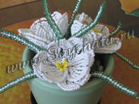 Крокусы из бисера